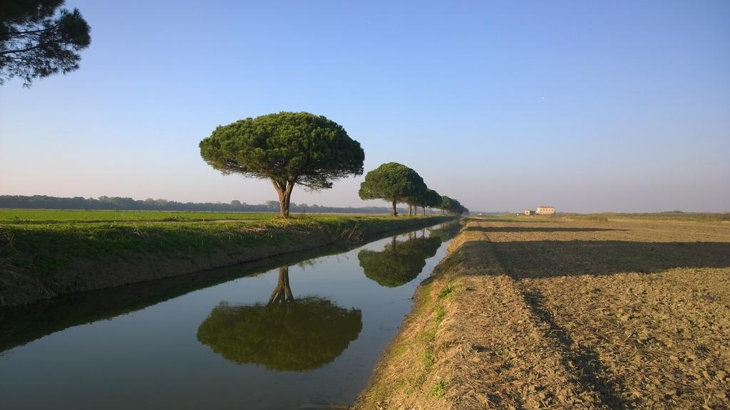 Locanda Ferrari Goro المظهر الخارجي الصورة